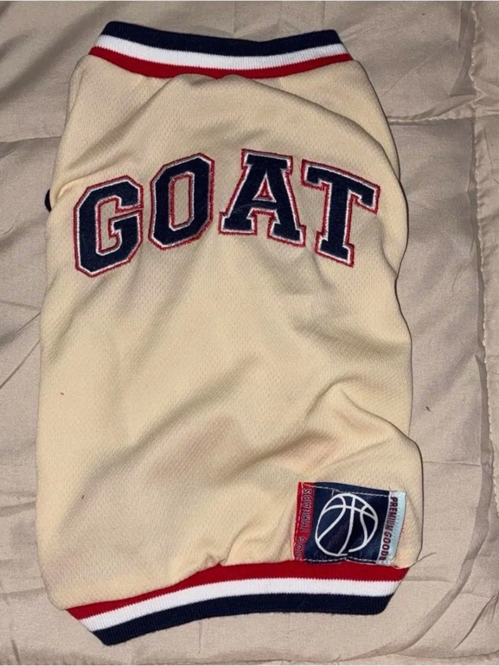 Pet GOAT Varsity Jacket - Cream with Navy & Red Trim